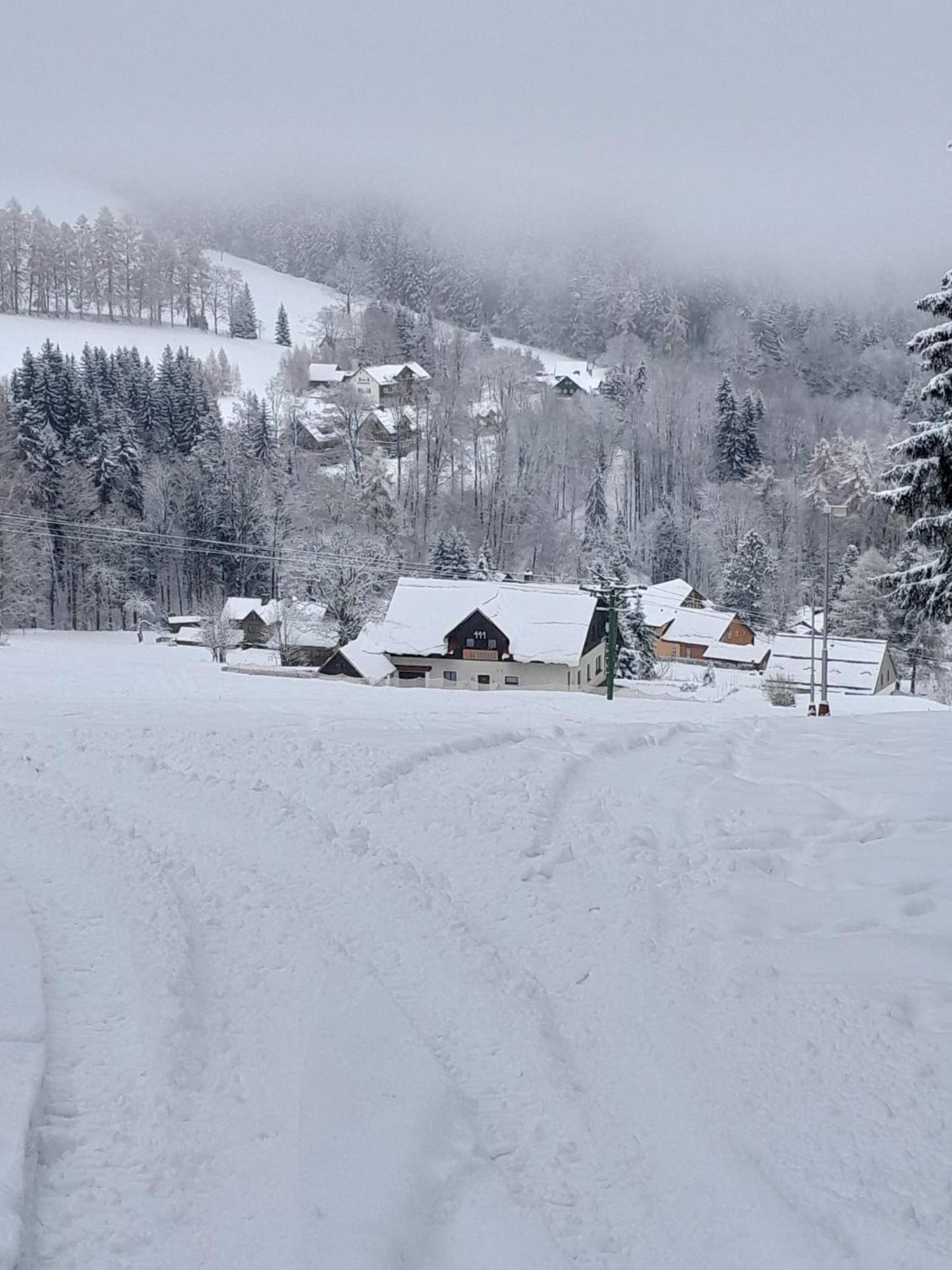 Family 2 Bedroom Ski&Bike Apartment With Terrase ヤンスケー・ラーズニェ エクステリア 写真